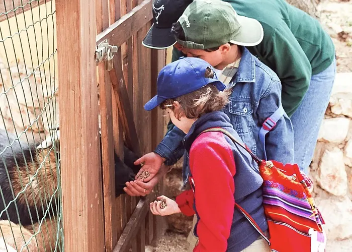 Eden Lodge, A Unique Space For Groups