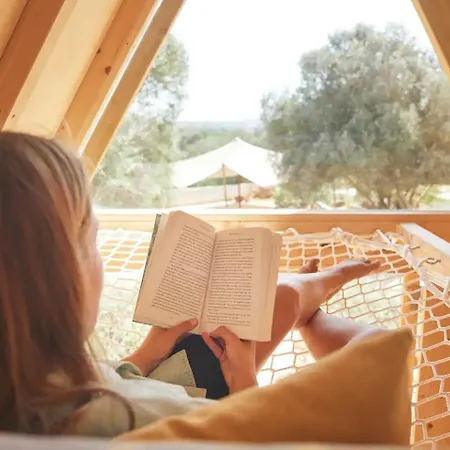 Tiny Whale Lodge, A Unique Space For Groups