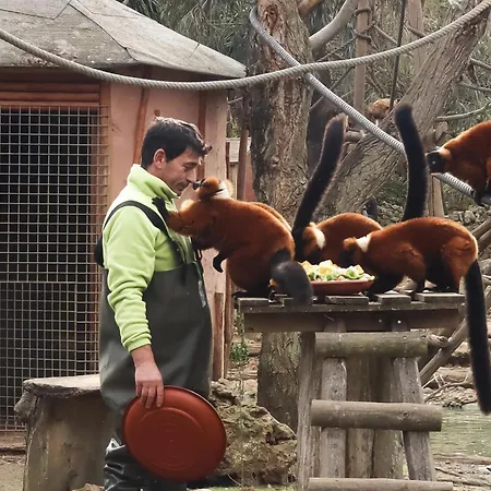 Eden Lodge, A Unique Space For Groups *