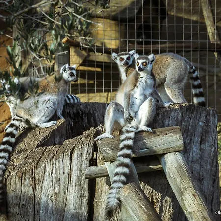 Eden Lodge, A Unique Space For Groups Villa *