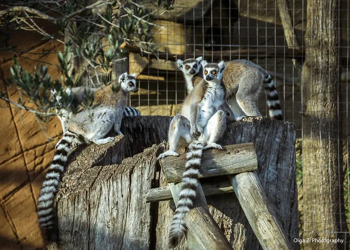 Eden Lodge, A Unique Space For Groups Villa *