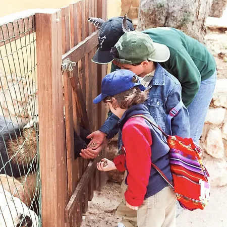 Eden Lodge, A Unique Space For Groups